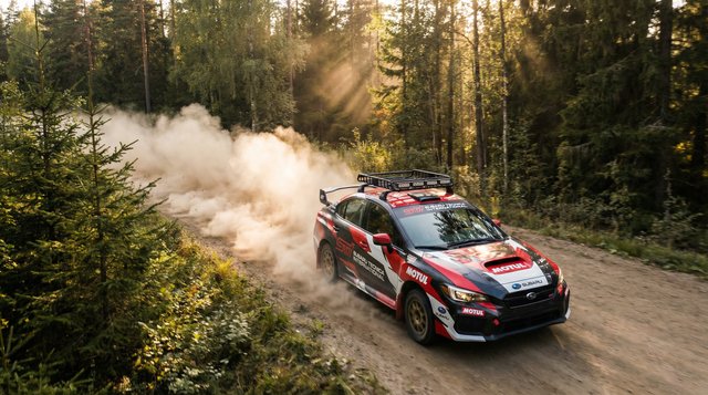 国产视频拉力赛越野车视频